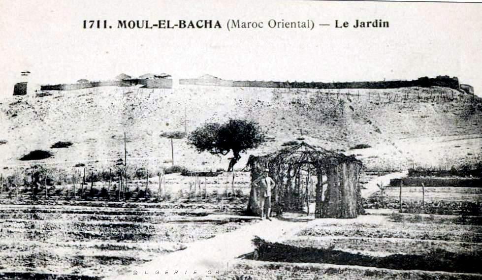 BIVEN Georges - 060- Moul El Bacha.jpg